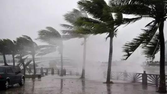 8月臺風雨即將來，除濕機還得用起來