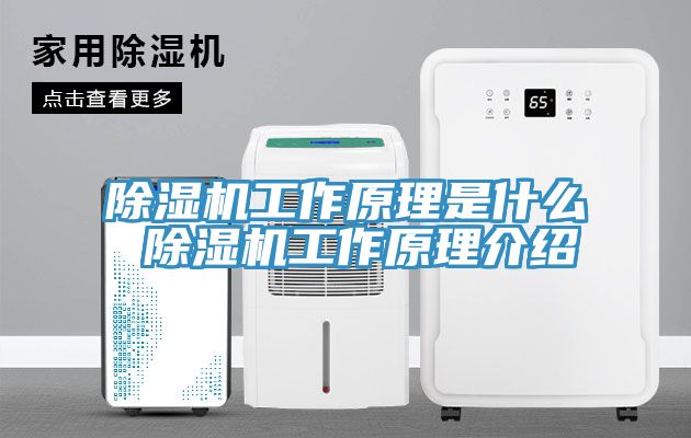 除濕機工作原理是什么 除濕機工作原理介紹