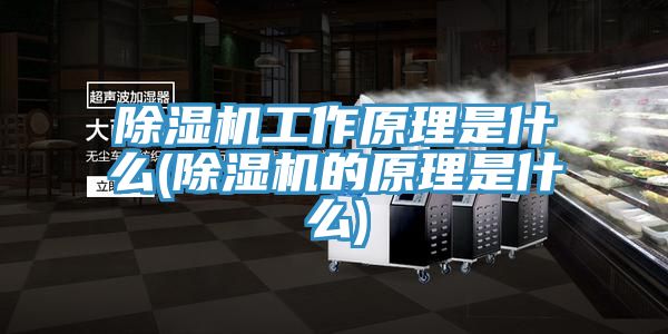 除濕機工作原理是什么(除濕機的原理是什么)