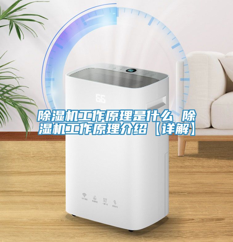 除濕機工作原理是什么 除濕機工作原理介紹【詳解】