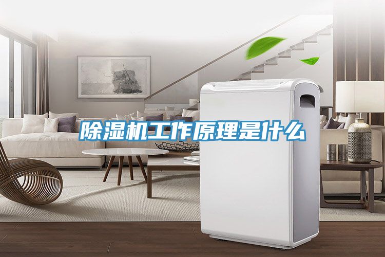 除濕機工作原理是什么