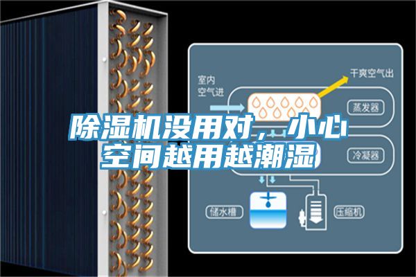 除濕機沒用對，小心空間越用越潮濕