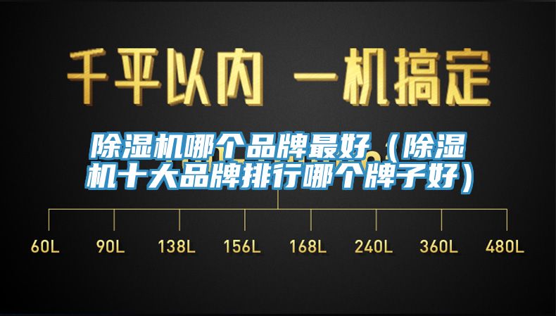 除濕機(jī)哪個品牌最好（除濕機(jī)十大品牌排行哪個牌子好）