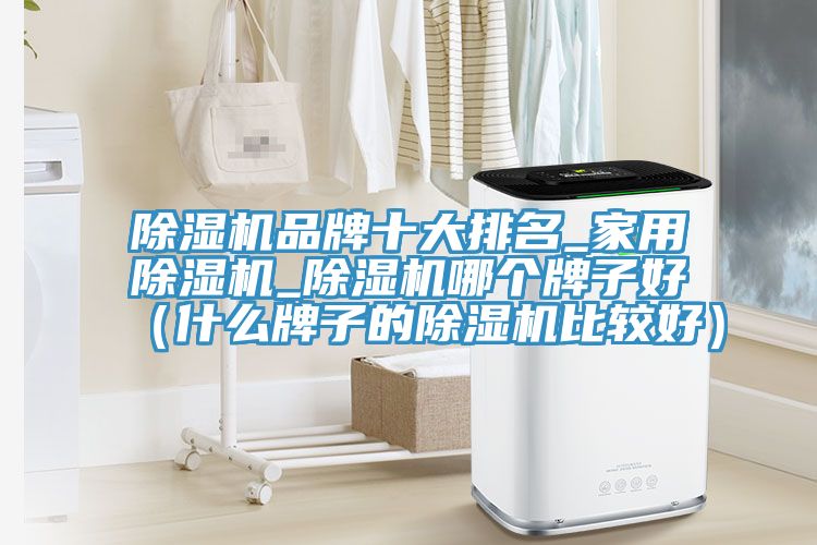 除濕機品牌十大排名_家用除濕機_除濕機哪個牌子好（什么牌子的除濕機比較好）