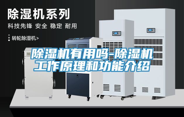 除濕機有用嗎-除濕機工作原理和功能介紹