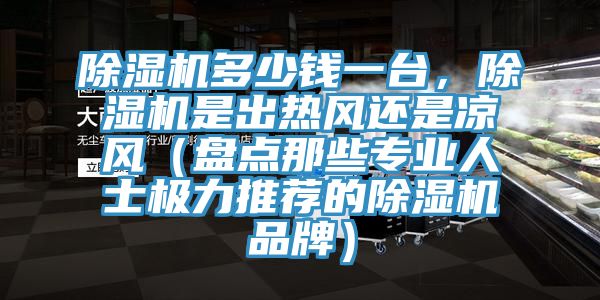 除濕機多少錢一臺，除濕機是出熱風還是涼風（盤點那些專業人士極力推薦的除濕機品牌）