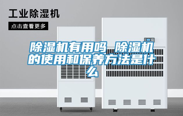 除濕機有用嗎 除濕機的使用和保養方法是什么