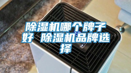 除濕機哪個牌子好 除濕機品牌選擇