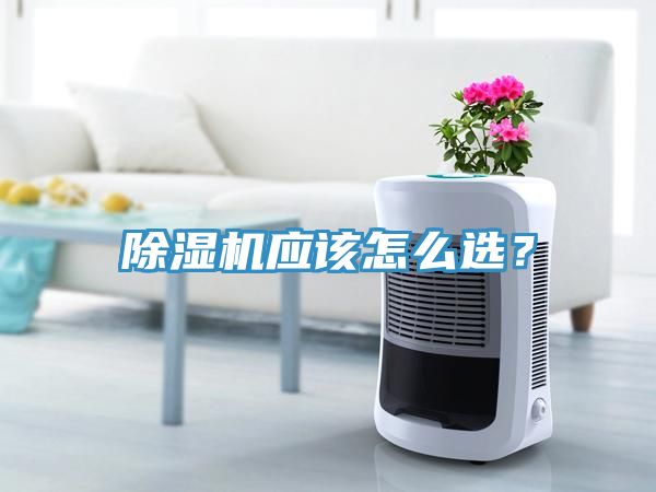 除濕機應該怎么選？