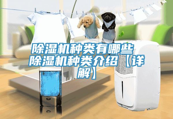 除濕機種類有哪些 除濕機種類介紹【詳解】