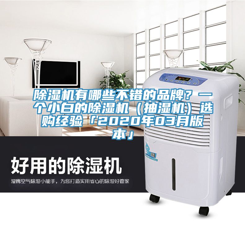 除濕機有哪些不錯的品牌？一個小白的除濕機（抽濕機）選購經驗「2020年03月版本」