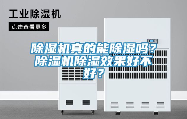 除濕機真的能除濕嗎？除濕機除濕效果好不好？