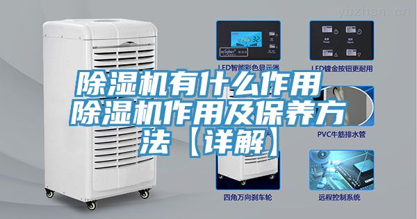 除濕機有什么作用 除濕機作用及保養方法【詳解】