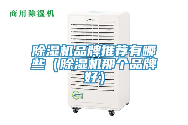 除濕機品牌推薦有哪些（除濕機那個品牌好）