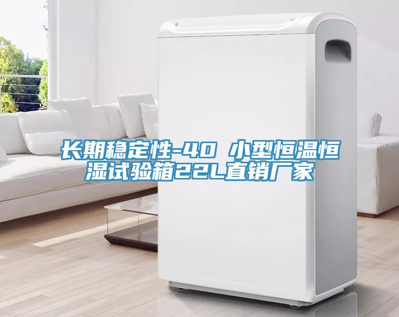 長期穩(wěn)定性-40℃小型恒溫恒濕試驗箱22L直銷廠家