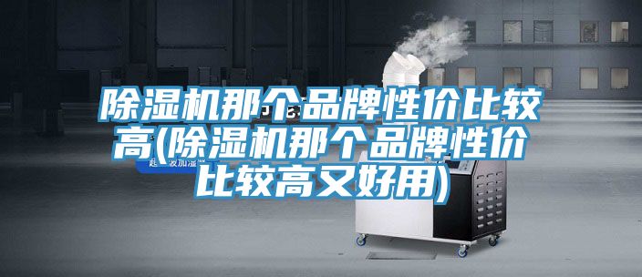 除濕機那個品牌性價比較高(除濕機那個品牌性價比較高又好用)