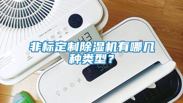 非標定制除濕機有哪幾種類型？