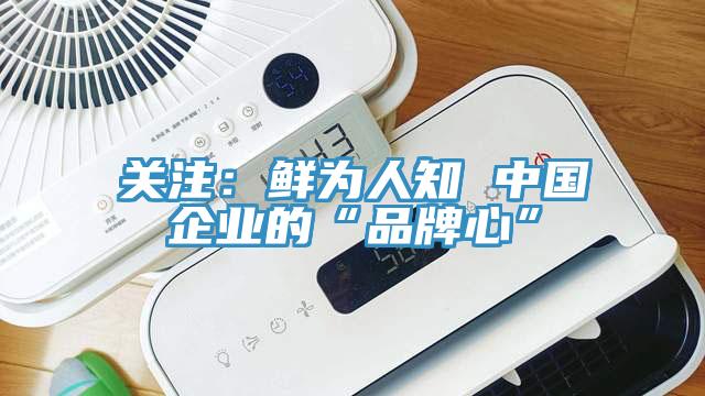 關注：鮮為人知 中國企業的“品牌心”