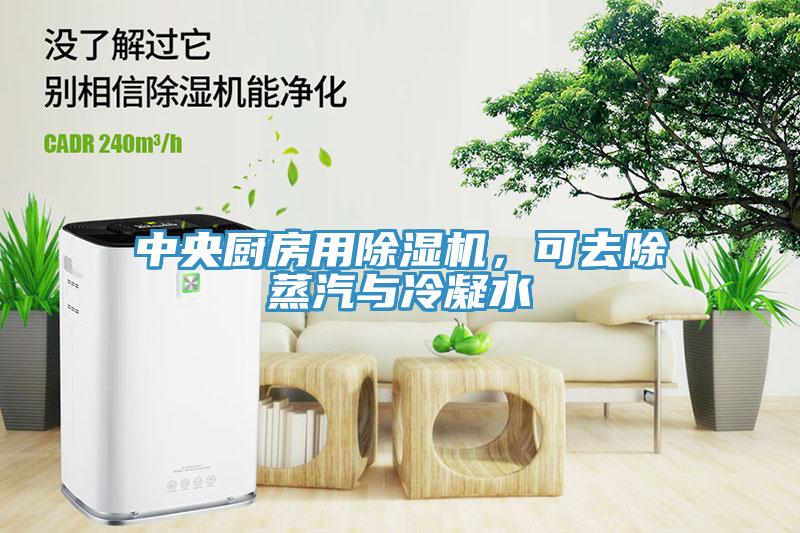 中央廚房用除濕機，可去除蒸汽與冷凝水